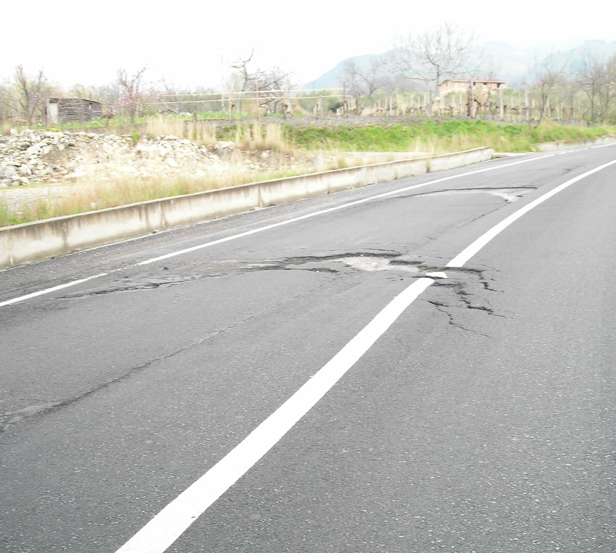 Le buche della Fondo Valle Olivo